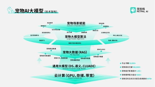 政企共鑒，智啟新程 寵拍檔亮相全國服務消費季特色成果展，技術咨詢服務引發關注